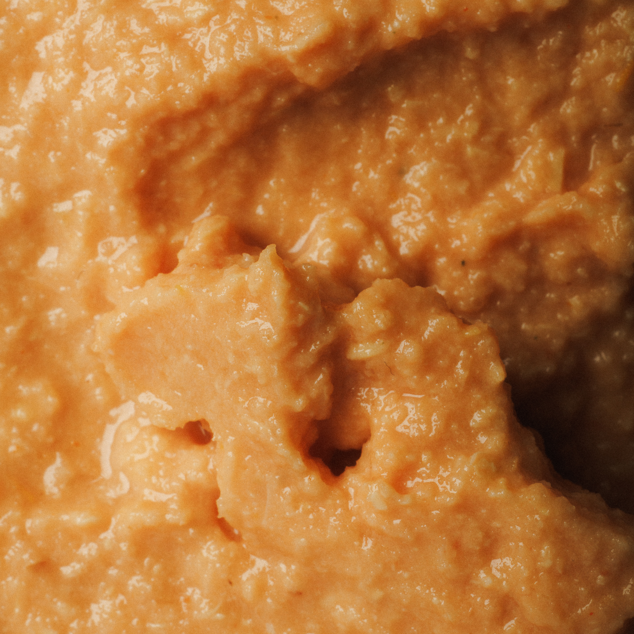 Lummus de Tomate Seco 1